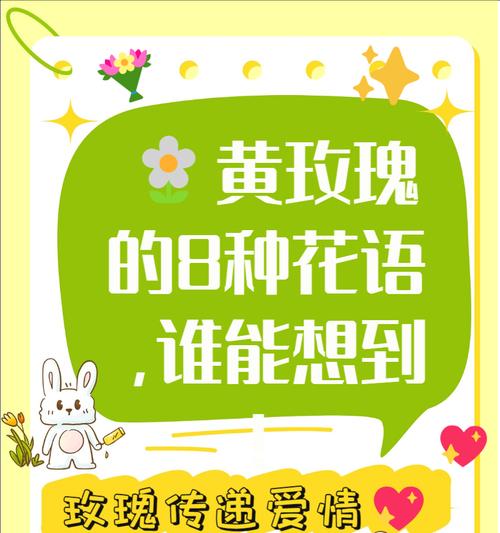 玫瑰的花语是什么意思？不同颜色玫瑰代表什么含义？